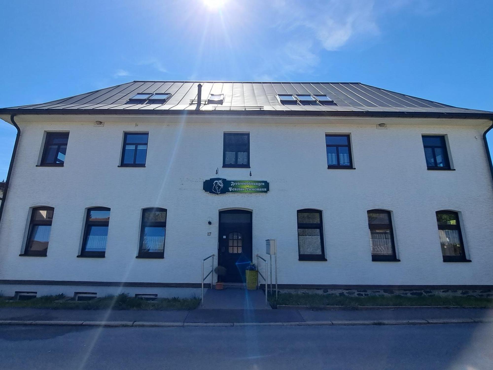 Reiterhof & Pension Lienemann Grünbach Esterno foto